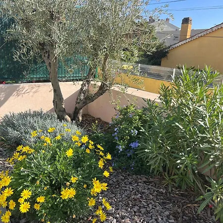 Ischia Vue Villa *