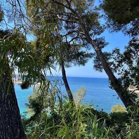 빌라 Ischia Vue *