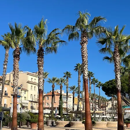 Ischia Vue Villa *